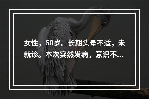 女性，60岁。长期头晕不适，未就诊。本次突然发病，意识不清2