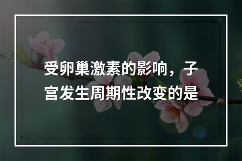 受卵巢激素的影响，子宫发生周期性改变的是