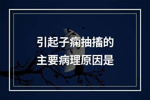 引起子痫抽搐的主要病理原因是