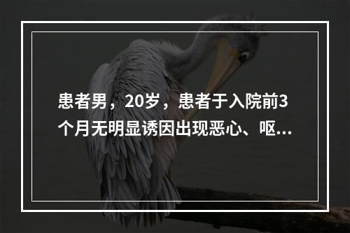 患者男，20岁，患者于入院前3个月无明显诱因出现恶心、呕吐2