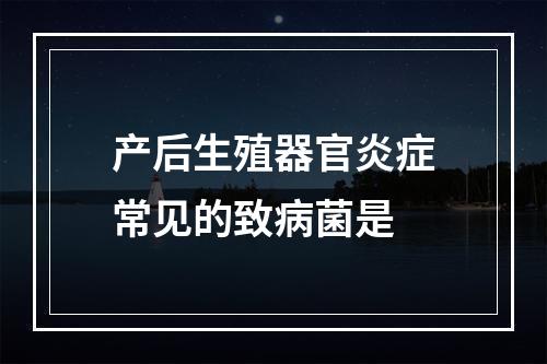 产后生殖器官炎症常见的致病菌是