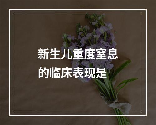 新生儿重度窒息的临床表现是