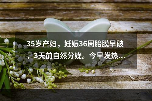 35岁产妇，妊娠36周胎膜早破，3天前自然分娩。今早发热，腹