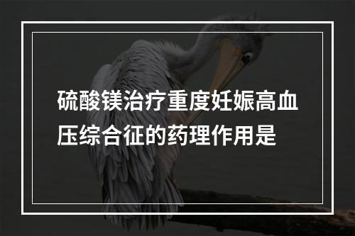 硫酸镁治疗重度妊娠高血压综合征的药理作用是