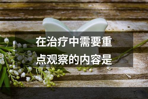 在治疗中需要重点观察的内容是