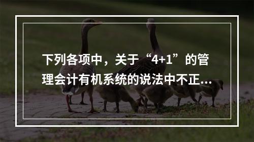 下列各项中，关于“4+1”的管理会计有机系统的说法中不正确的