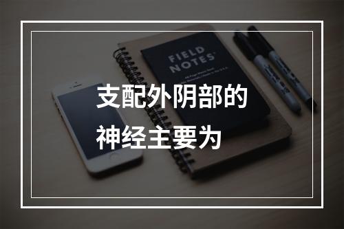 支配外阴部的神经主要为