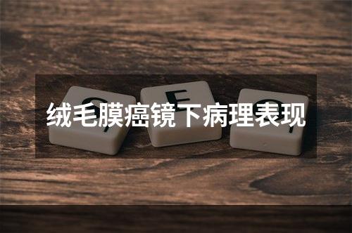 绒毛膜癌镜下病理表现