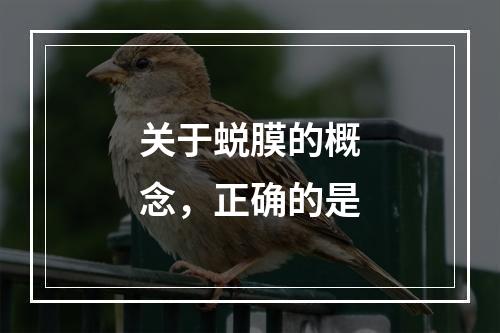 关于蜕膜的概念，正确的是