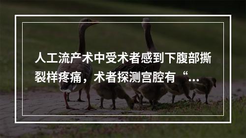 人工流产术中受术者感到下腹部撕裂样疼痛，术者探测宫腔有“无底