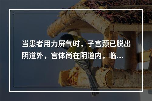 当患者用力屏气时，子宫颈已脱出阴道外，宫体尚在阴道内，临床诊