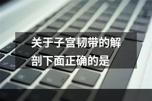 关于子宫韧带的解剖下面正确的是