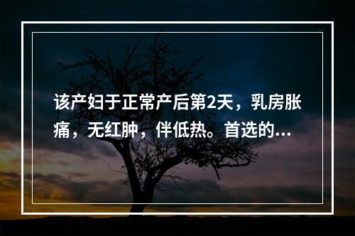 该产妇于正常产后第2天，乳房胀痛，无红肿，伴低热。首选的护理