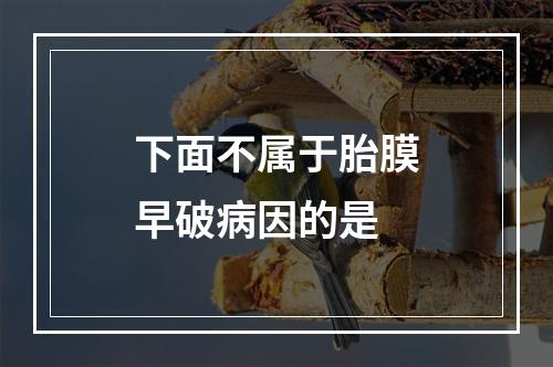 下面不属于胎膜早破病因的是