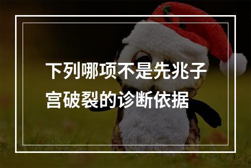 下列哪项不是先兆子宫破裂的诊断依据