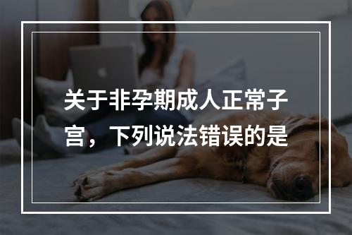 关于非孕期成人正常子宫，下列说法错误的是