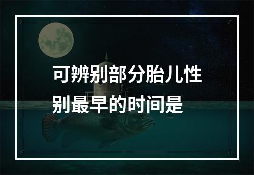 可辨别部分胎儿性别最早的时间是