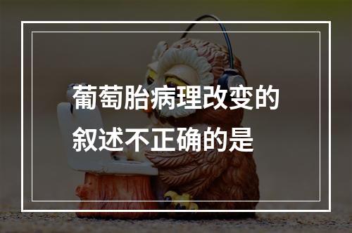 葡萄胎病理改变的叙述不正确的是