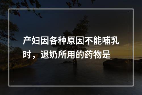 产妇因各种原因不能哺乳时，退奶所用的药物是