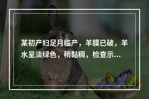 某初产妇足月临产，羊膜已破，羊水呈淡绿色，稍黏稠，检查示：宫