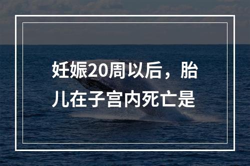 妊娠20周以后，胎儿在子宫内死亡是