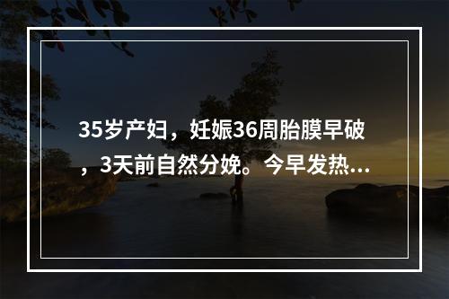 35岁产妇，妊娠36周胎膜早破，3天前自然分娩。今早发热，腹