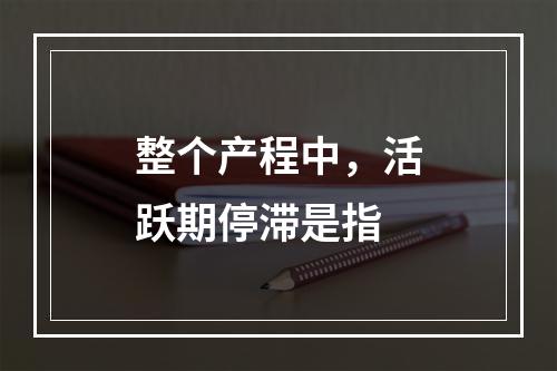 整个产程中，活跃期停滞是指