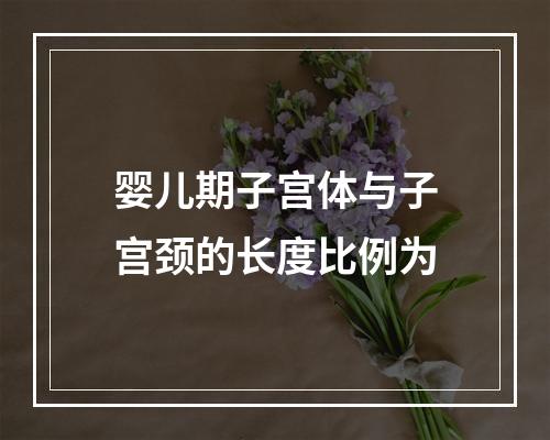 婴儿期子宫体与子宫颈的长度比例为