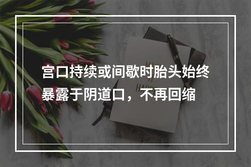 宫口持续或间歇时胎头始终暴露于阴道口，不再回缩