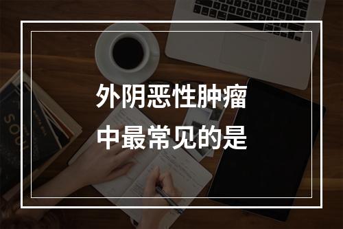 外阴恶性肿瘤中最常见的是