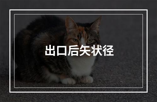 出口后矢状径