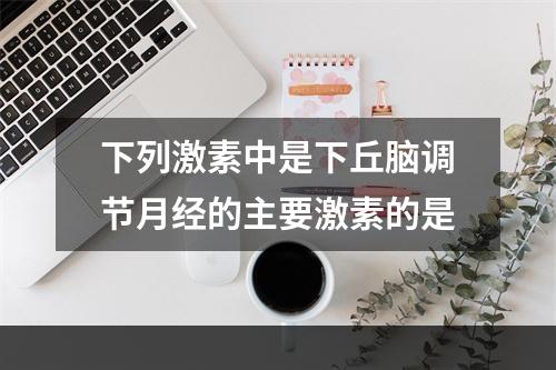 下列激素中是下丘脑调节月经的主要激素的是