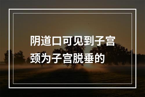 阴道口可见到子宫颈为子宫脱垂的