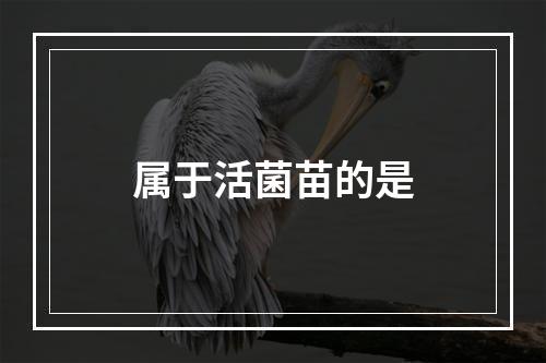 属于活菌苗的是