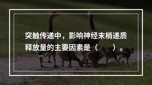 突触传递中，影响神经末梢递质释放量的主要因素是（　　）。