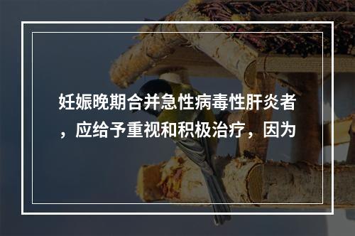 妊娠晚期合并急性病毒性肝炎者，应给予重视和积极治疗，因为