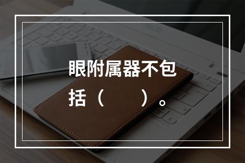 眼附属器不包括（　　）。