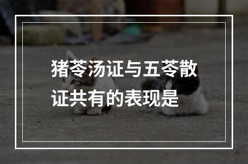 猪苓汤证与五苓散证共有的表现是