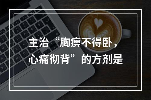 主治“胸痹不得卧，心痛彻背”的方剂是