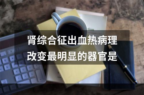 肾综合征出血热病理改变最明显的器官是