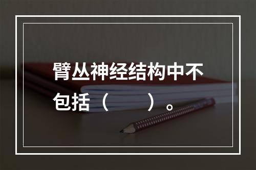 臂丛神经结构中不包括（　　）。