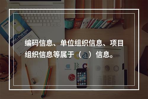 编码信息、单位组织信息、项目组织信息等属于（　）信息。