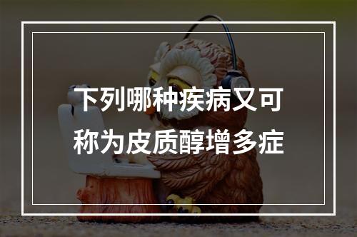 下列哪种疾病又可称为皮质醇增多症