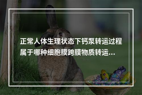 正常人体生理状态下钙泵转运过程属于哪种细胞膜跨膜物质转运？