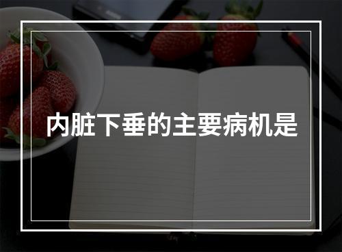 内脏下垂的主要病机是