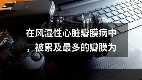 在风湿性心脏瓣膜病中，被累及最多的瓣膜为