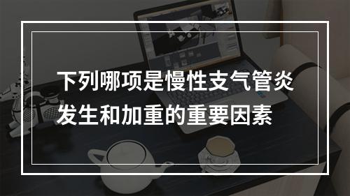 下列哪项是慢性支气管炎发生和加重的重要因素