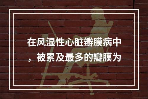 在风湿性心脏瓣膜病中，被累及最多的瓣膜为