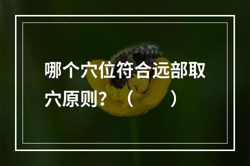 哪个穴位符合远部取穴原则？（　　）