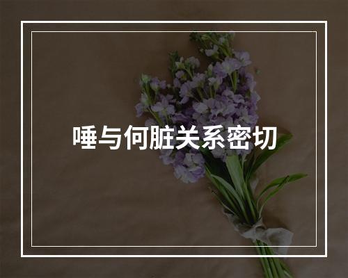 唾与何脏关系密切